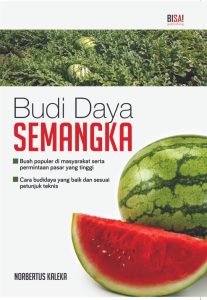 Budidaya Semangka