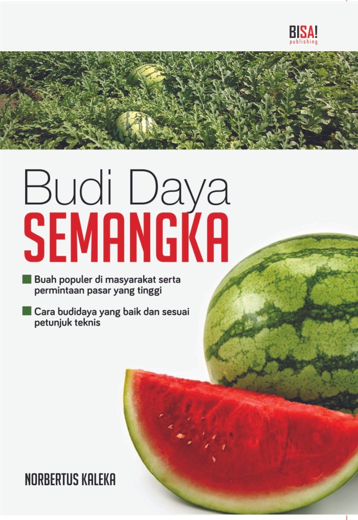 Budidaya Semangka